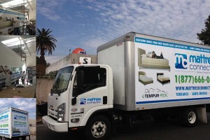 Vehicle Graphics